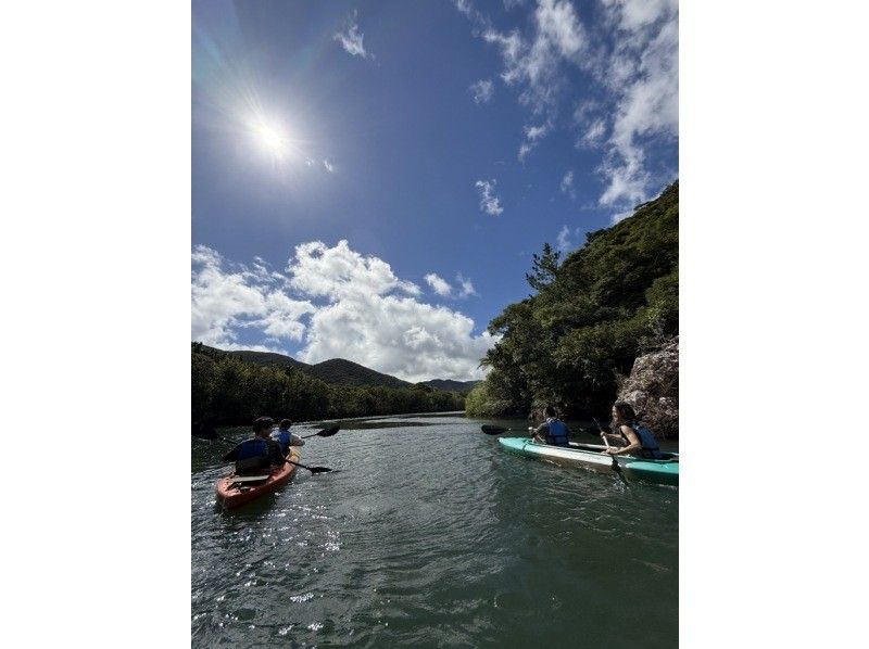 【奄美大島 / 1組様限定貸切案内】2時間マングローブカヌーの紹介画像