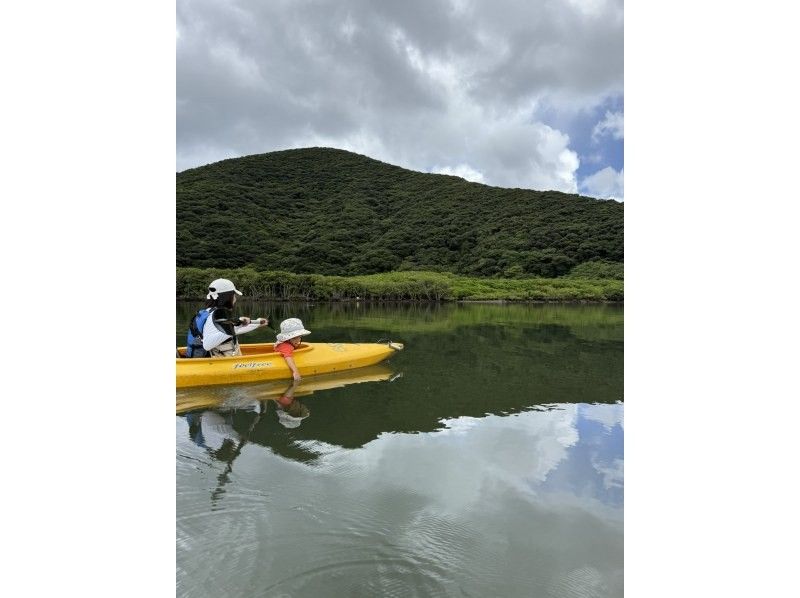 【奄美大島 / 1組様限定貸切案内】2時間マングローブカヌーの紹介画像