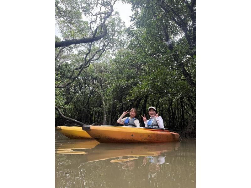 【奄美大島 / 1組様限定貸切案内】2時間マングローブカヌーの紹介画像