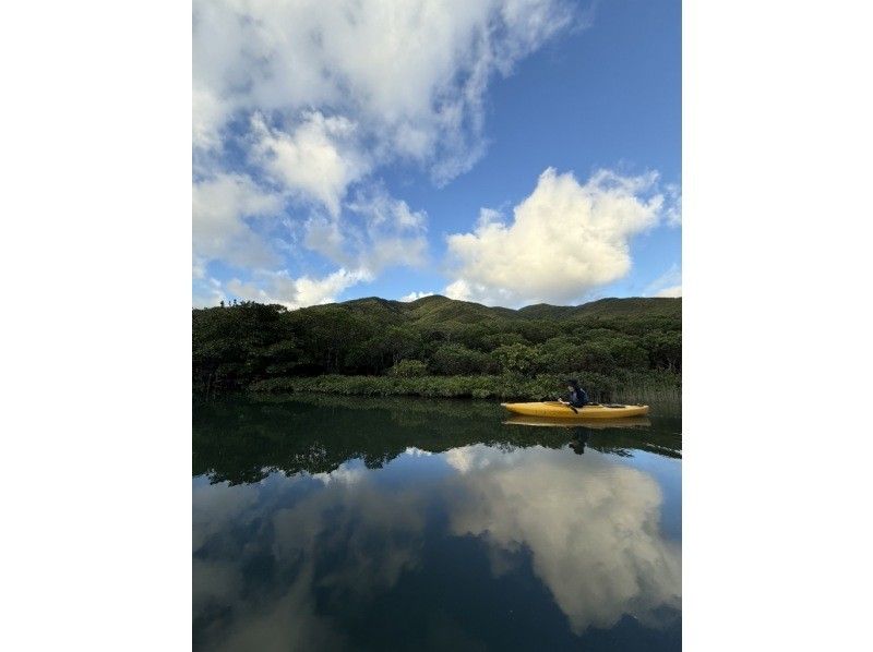 【奄美大島 / 1組様限定貸切案内】3時間マングローブカヌーの紹介画像