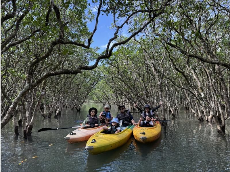 【奄美大島 / 1組様限定貸切案内】3時間マングローブカヌーの紹介画像