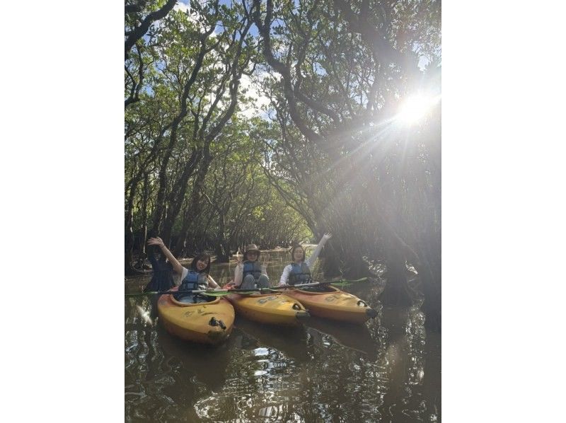 【奄美大島 / 1組様限定貸切案内】3時間マングローブカヌーの紹介画像