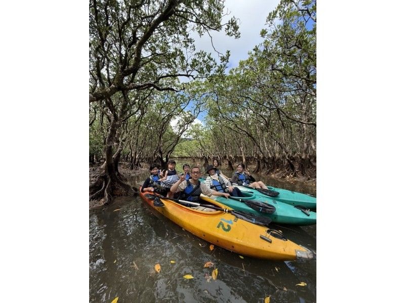【奄美大島 / 1組様限定貸切案内】3時間マングローブカヌーの紹介画像