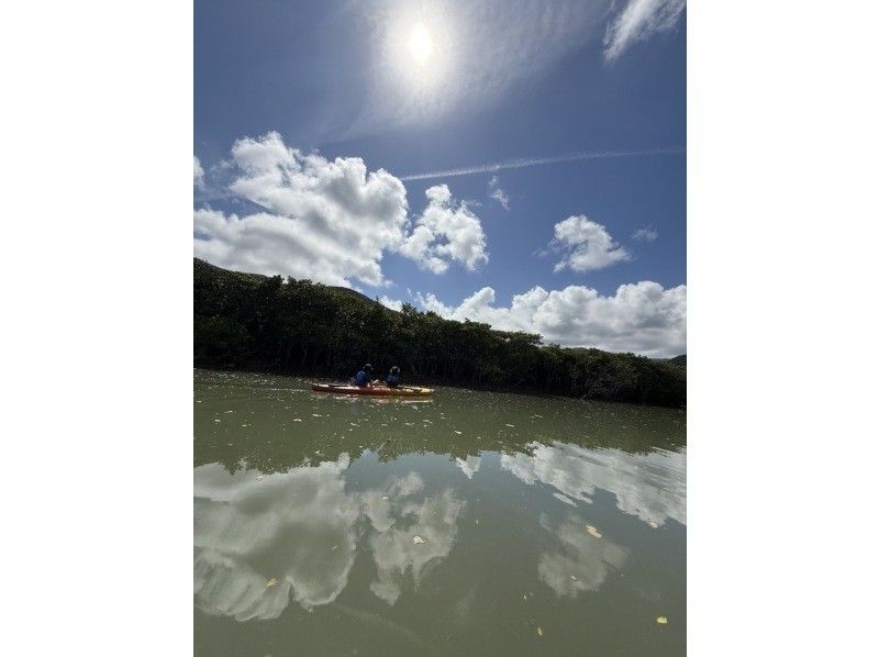 【奄美大島 / 1組様限定貸切案内】3時間マングローブカヌーの紹介画像