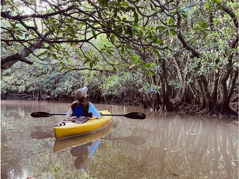 【奄美大島 / 1組様限定貸切案内】3時間マングローブカヌーの紹介画像