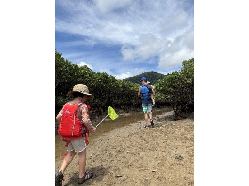 【奄美大島 / 1組様限定貸切案内】3時間マングローブカヌーの紹介画像