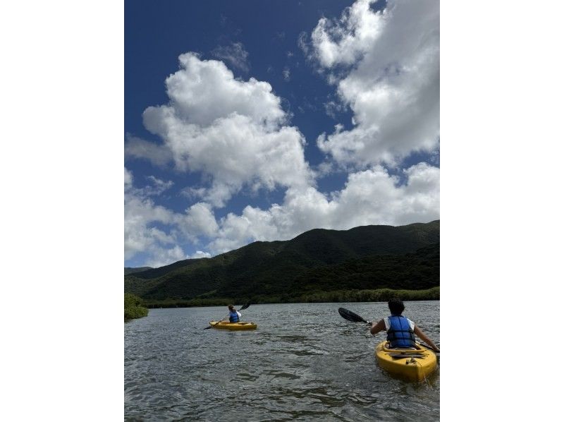 【奄美大島 / 1組様限定貸切案内】3時間マングローブカヌーの紹介画像