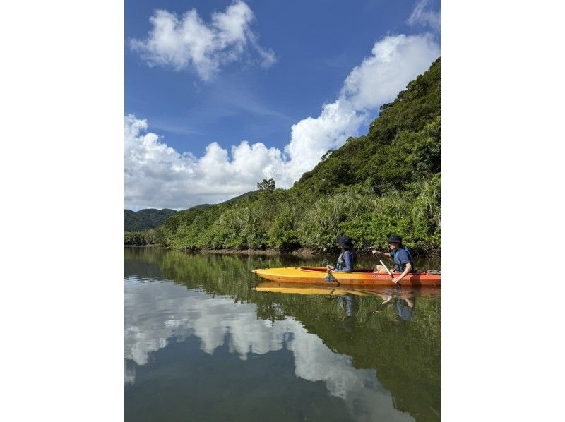 【奄美大島 / 1組様限定貸切案内】3時間マングローブカヌーの紹介画像