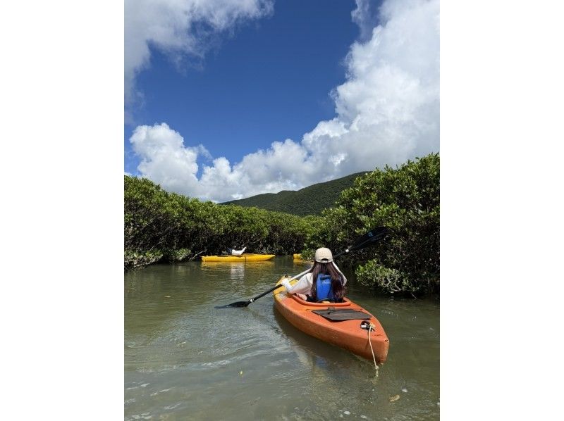【奄美大島 / 1組様限定貸切案内】3時間マングローブカヌーの紹介画像