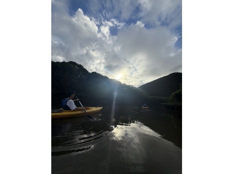 【奄美大島 / 1組様限定貸切案内】3時間マングローブカヌーの紹介画像