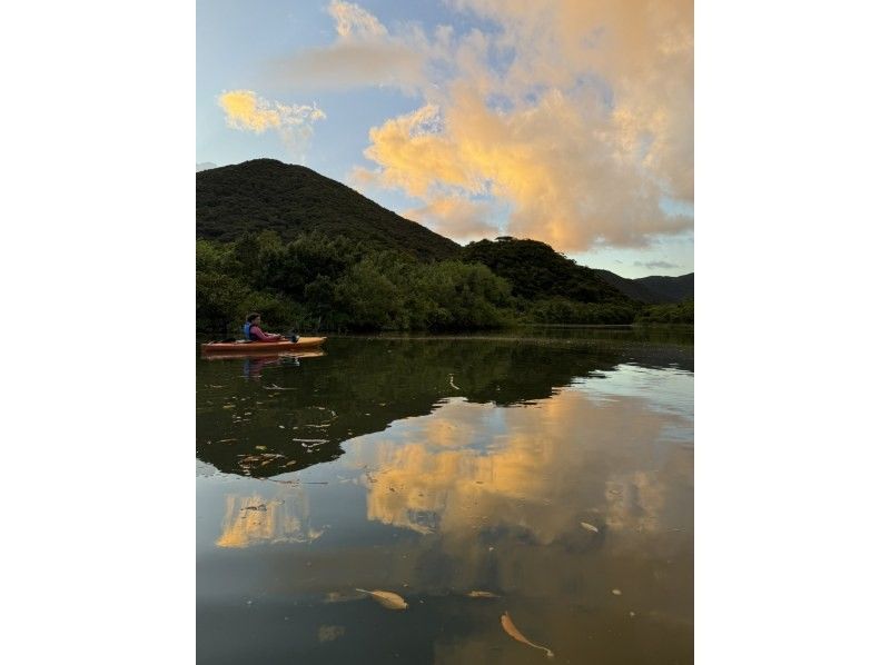 【奄美大島 / 1組様限定貸切案内】黄昏サンセットマングローブカヌーツアーの紹介画像