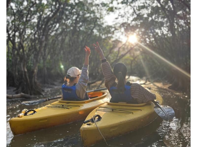 【奄美大島 / 1組様限定貸切案内】サンセットマングローブカヌーとアマミノクロウサギ探検ナイトツアーの紹介画像