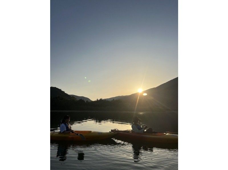 【奄美大島 / 1組様限定貸切案内】サンセットマングローブカヌーとアマミノクロウサギ探検ナイトツアーの紹介画像