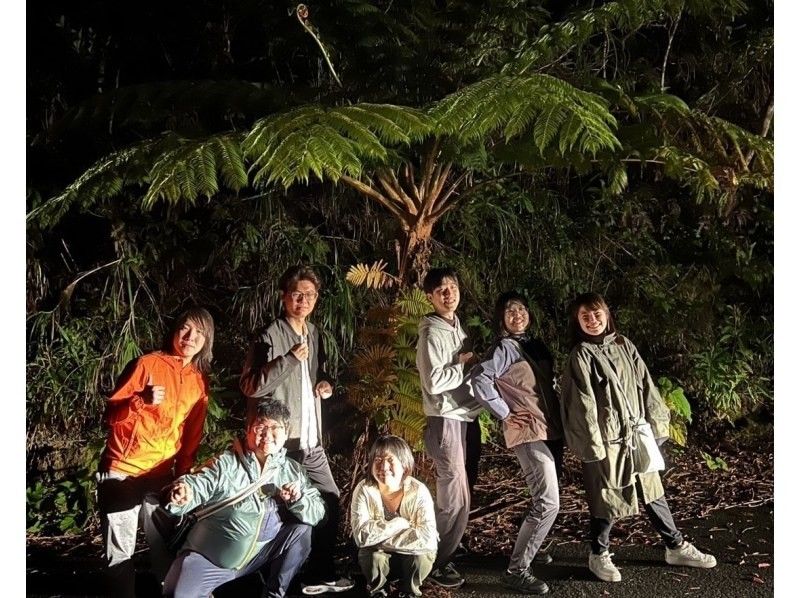 【奄美大島 / 1組様限定貸切案内】サンセットマングローブカヌーとアマミノクロウサギ探検ナイトツアーの紹介画像