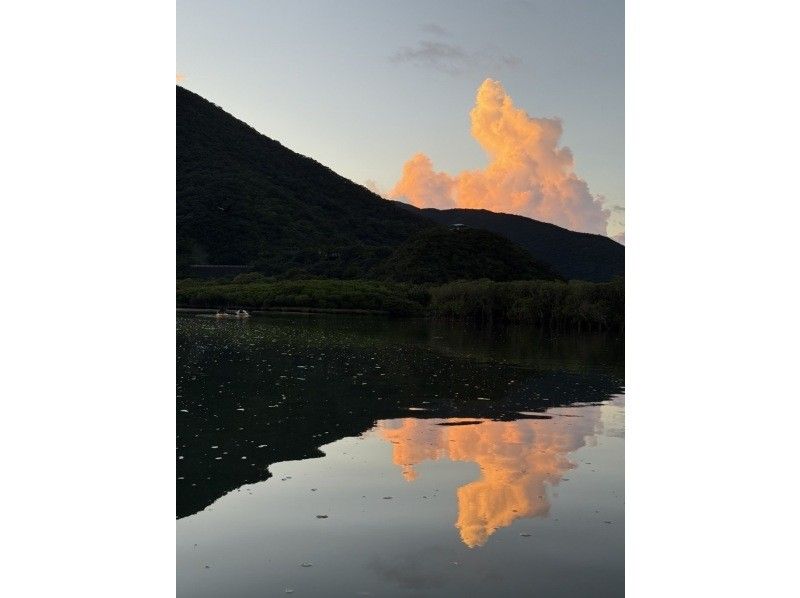 【奄美大島 / 1組様限定貸切案内】サンセットマングローブカヌーとアマミノクロウサギ探検ナイトツアーの紹介画像