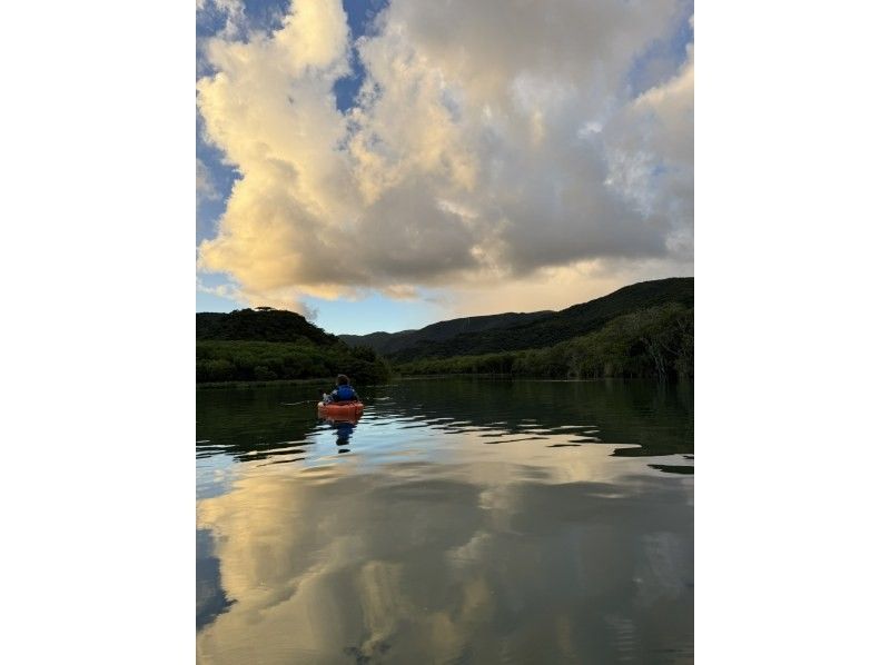 【奄美大島 / 1組様限定貸切案内】サンセットマングローブカヌーとアマミノクロウサギ探検ナイトツアーの紹介画像