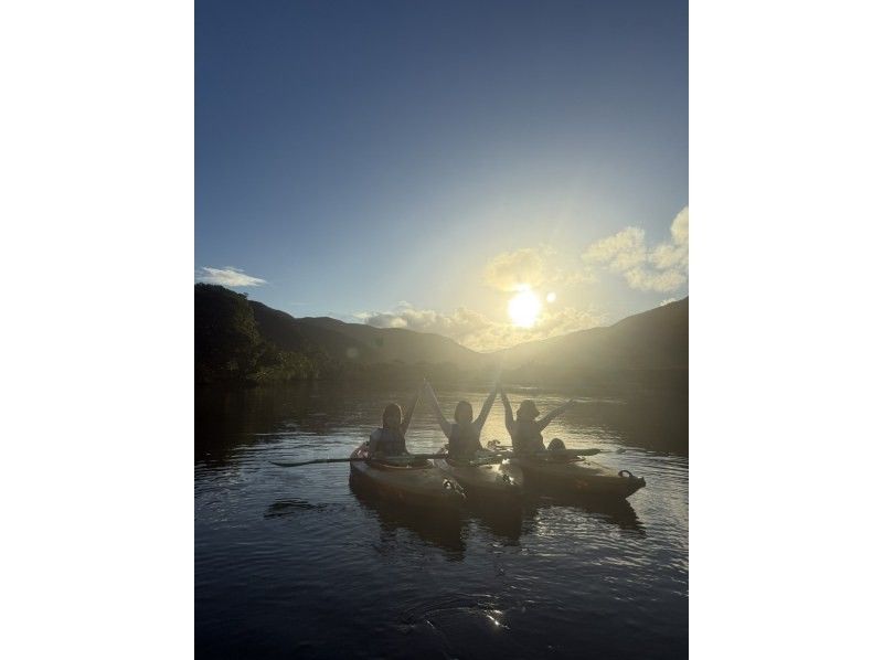 【奄美大島 / 1組様限定貸切案内】サンセットマングローブカヌーとアマミノクロウサギ探検ナイトツアーの紹介画像