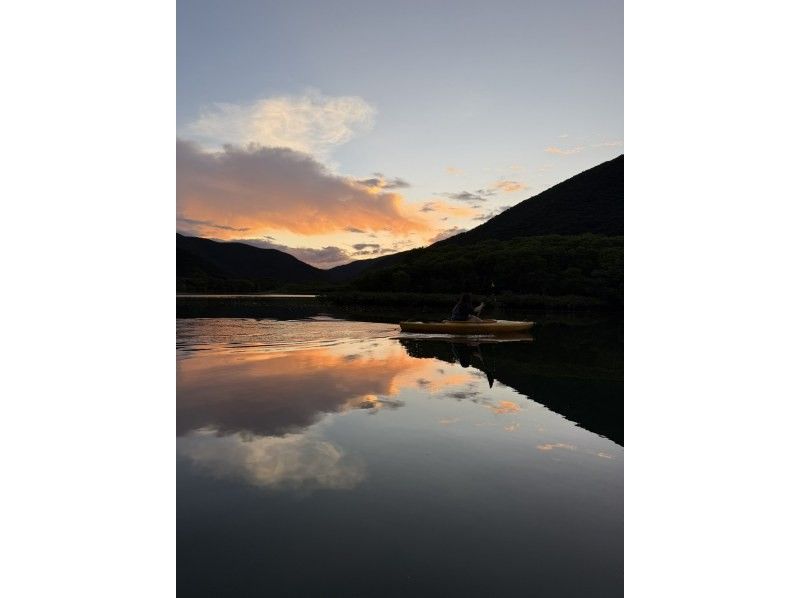 【奄美大島 / 1組様限定貸切案内】サンセットマングローブカヌーとアマミノクロウサギ探検ナイトツアーの紹介画像