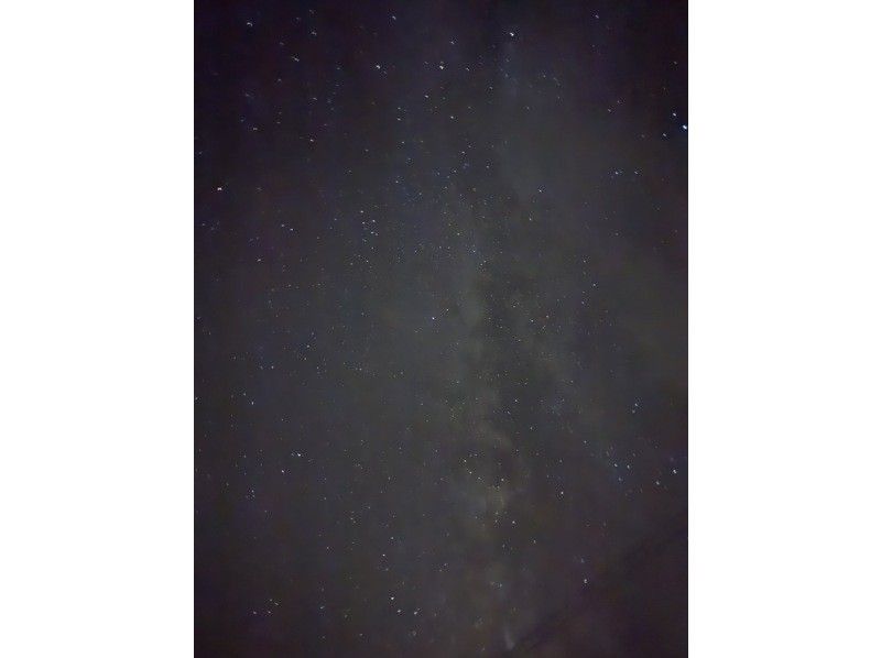 【奄美大島 / 1組様限定貸切案内】アマミノクロウサギ探検ナイトツアーの紹介画像