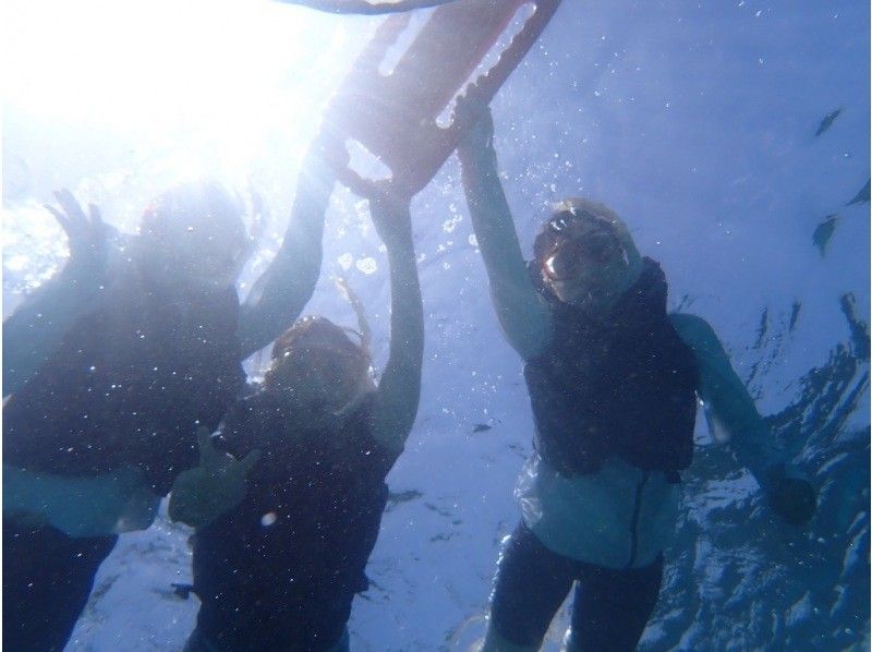 【奄美大島 / 1組様限定貸切案内】ウミガメシュノーケルの紹介画像