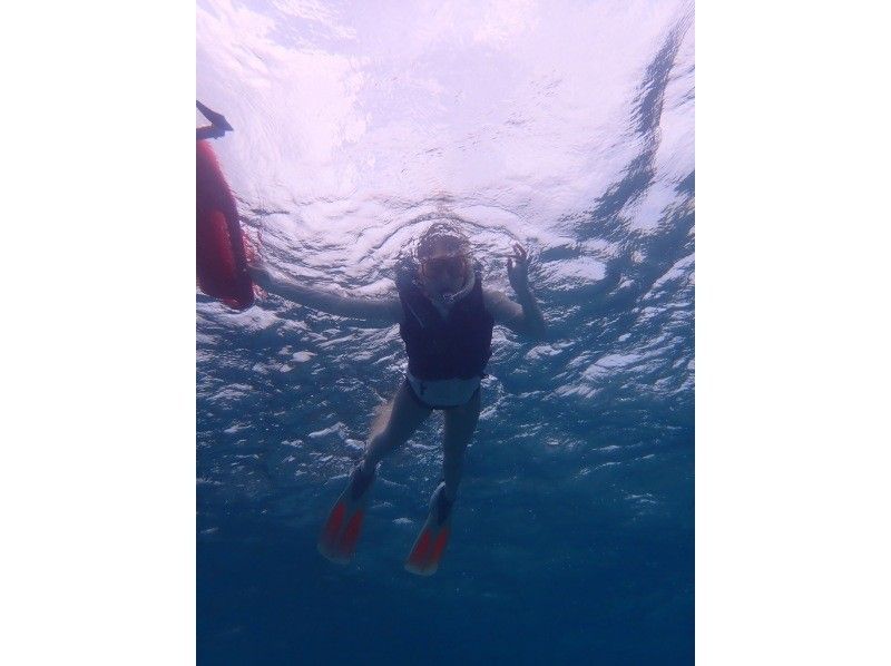 【奄美大島 / 1組様限定貸切案内】ウミガメシュノーケルの紹介画像