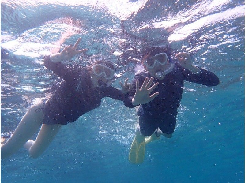 【奄美大島 / 1組様限定貸切案内】ウミガメシュノーケルの紹介画像