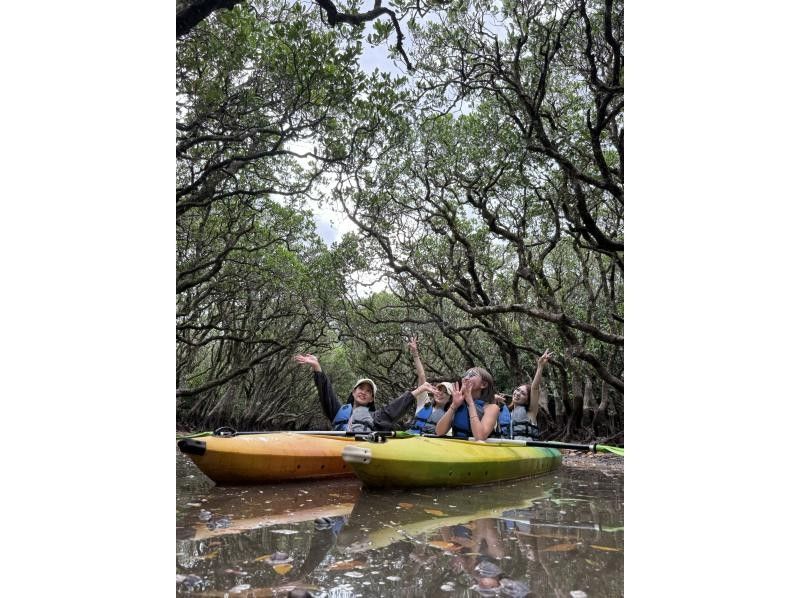 【奄美大島 / 完全送迎 / 1組様限定貸切案内】1日フリーツアーの紹介画像