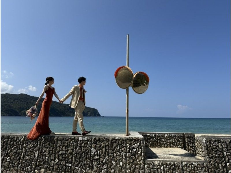 【奄美大島 / 完全送迎 / 1組様限定貸切案内】1日フリーツアーの紹介画像