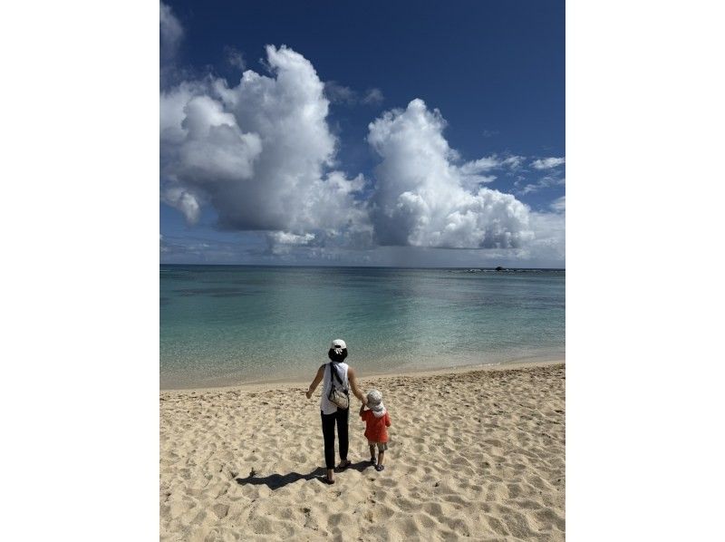 【奄美大島 / 完全送迎 / 1組様限定貸切案内】1日フリーツアーの紹介画像