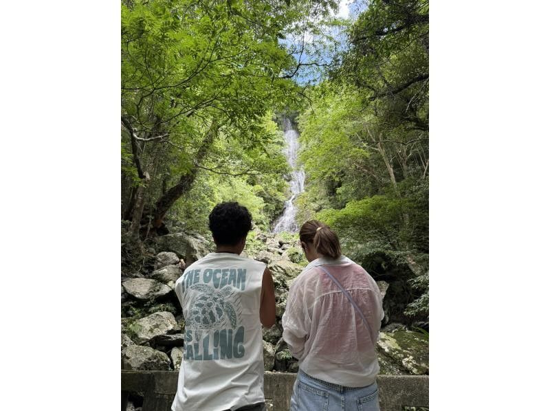 【奄美大島 / 完全送迎 / 1組様限定貸切案内】1日フリーツアーの紹介画像