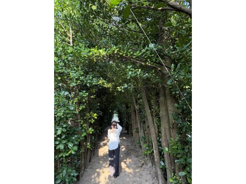 【奄美大島 / 完全送迎 / 1組様限定貸切案内】1日フリーツアーの紹介画像