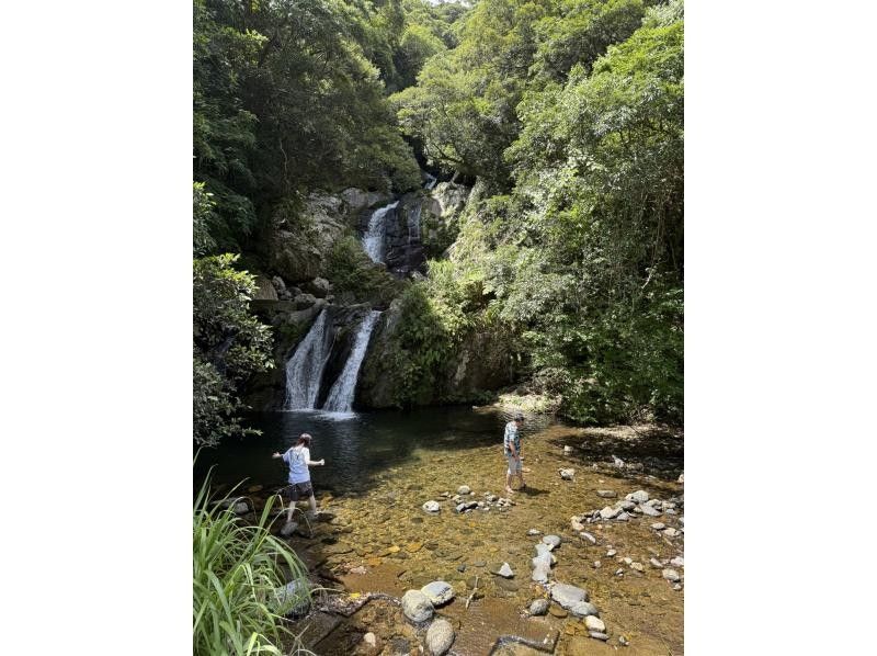 【奄美大島 / 完全送迎 / 1組様限定貸切案内】1日フリーツアーの紹介画像