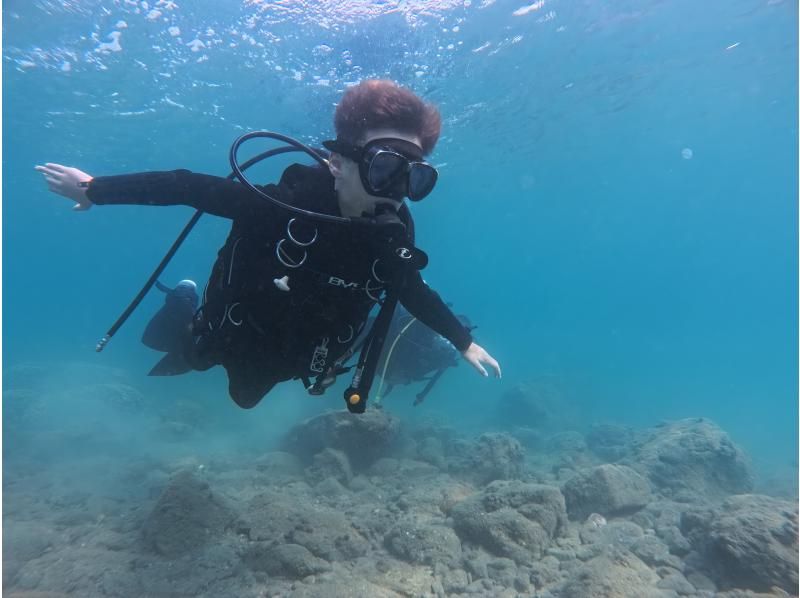 [Wakayama / Kushimoto Experience Diving] Families and beginners welcome! Experience diving in the sea of Kushimoto (participants from 10 years old) with safe support in small groupsの紹介画像