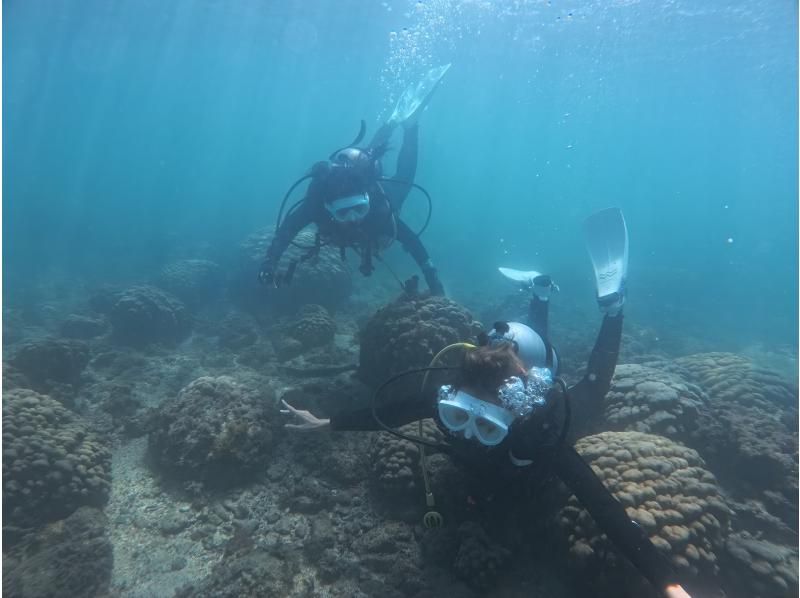 [Wakayama / Kushimoto Experience Diving] Families and beginners welcome! Experience diving in the sea of Kushimoto (participants from 10 years old) with safe support in small groupsの紹介画像
