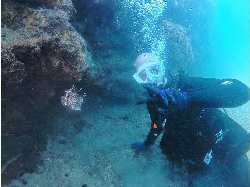 [Wakayama / Kushimoto Experience Diving] Families and beginners welcome! Experience diving in the sea of Kushimoto (participants from 10 years old) with safe support in small groupsの紹介画像