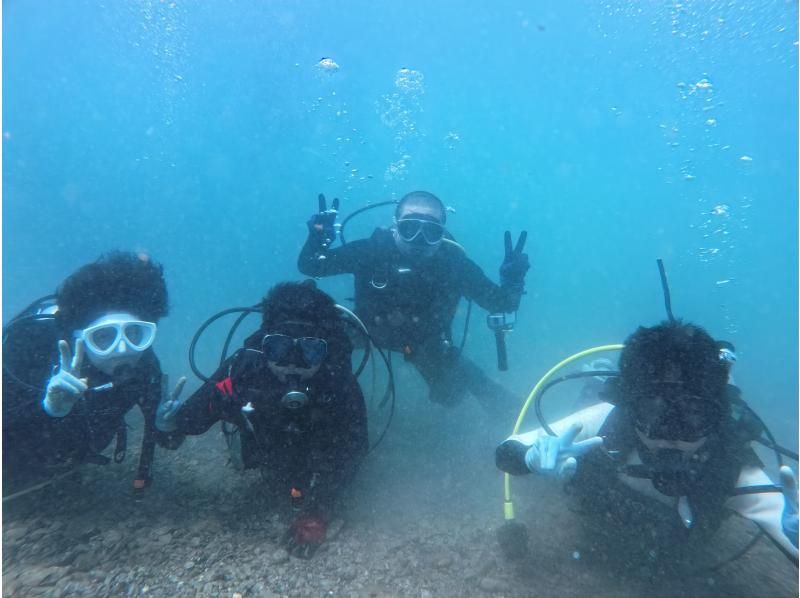 [Wakayama / Kushimoto Experience Diving] Families and beginners welcome! Experience diving in the sea of Kushimoto (participants from 10 years old) with safe support in small groupsの紹介画像