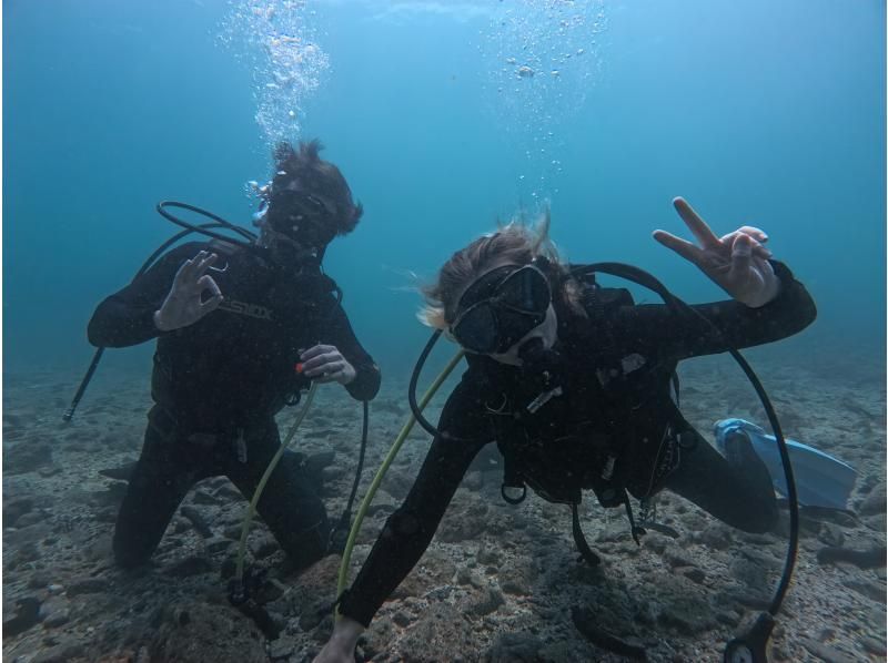 [Wakayama, Kushimoto, Fun Diving] Refresher diving 1 beach diving + 1 boat diving Rental equipment included Beginners and blank divers welcomeの紹介画像