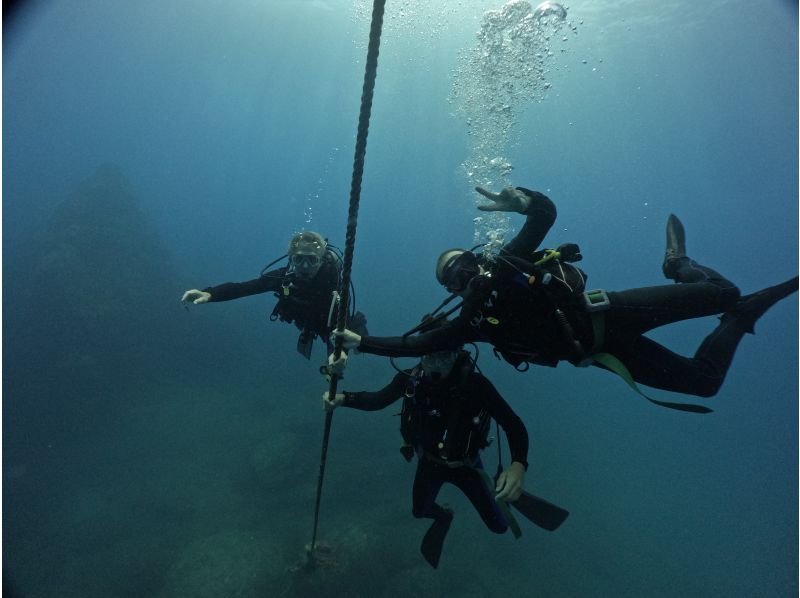[Wakayama, Kushimoto, Fun Diving] Refresher diving 1 beach diving + 1 boat diving Rental equipment included Beginners and blank divers welcomeの紹介画像