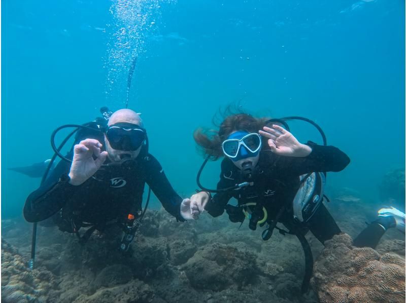 【和歌山・串本・ファンダイビング】 リフレッシュダイビング1ビーチ＋1ボートダイビング　初心者・ブランクダイバー大歓迎！！　の紹介画像