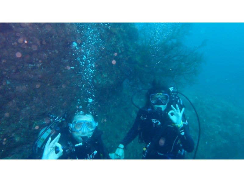 [Wakayama, Kushimoto, Fun Diving] 1 beach + 1 boat diving Rental equipment included Diving in the world's northernmost coral colony area Beginners welcomeの紹介画像