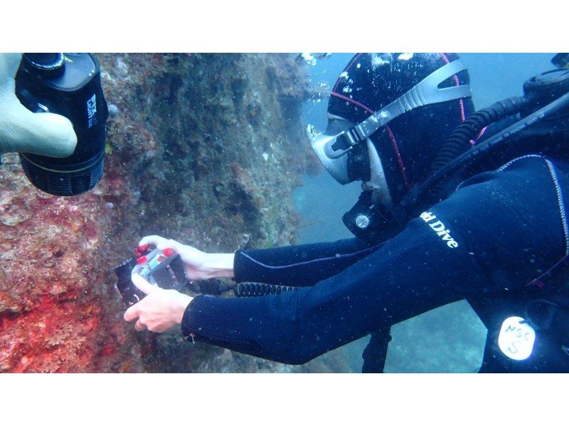 [Wakayama, Kushimoto, Fun Diving] Refresher diving 1 beach diving + 1 boat diving Rental equipment included Beginners and blank divers welcomeの紹介画像