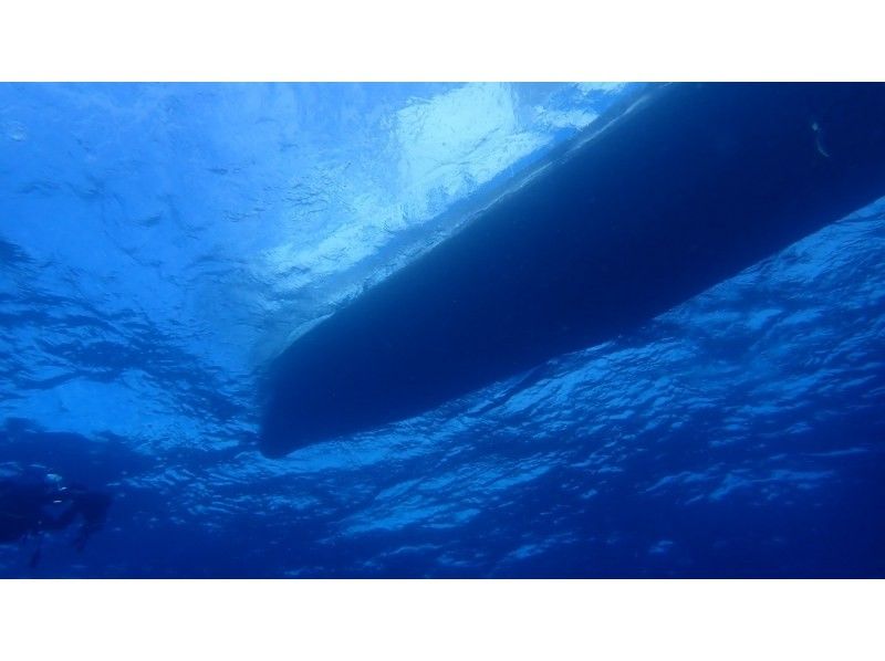 【和歌山・串本 ファンダイビング】初心者・おひとり様・グループ大歓迎　本州最南端の海で 2ボートダイビング　自分のペースでダイビングの紹介画像