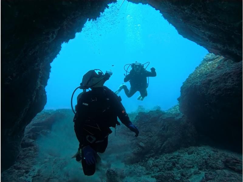 【和歌山・串本 ファンダイビング】初心者・おひとり様・グループ大歓迎　本州最南端の海で 2ボートダイビング　自分のペースでダイビングできる少の紹介画像