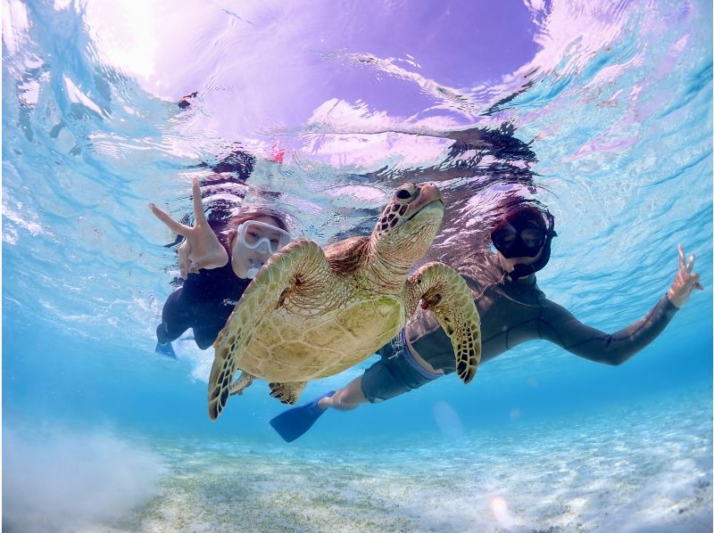 Miyakojima/Fully private, no life jacket required! 《100% encounter rate continues!》 Even closer [Sea turtle snorkeling] ★ Same-day reservations accepted!の紹介画像