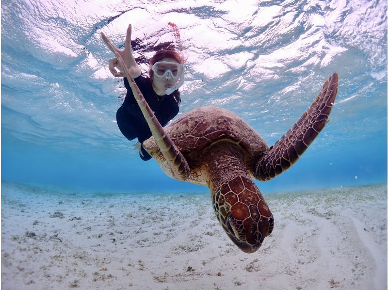 Miyakojima/Fully private, no life jacket required! 《100% encounter rate continues!》 Even closer [Sea turtle snorkeling] ★ Same-day reservations accepted!の紹介画像