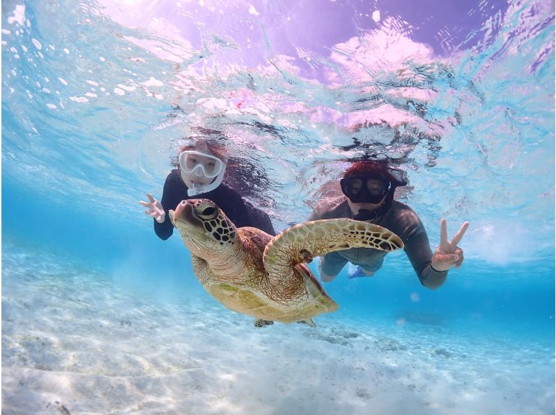 Miyakojima/Fully private, no life jacket required! 《100% encounter rate continues!》 Even closer [Sea turtle snorkeling] ★ Same-day reservations accepted!の紹介画像