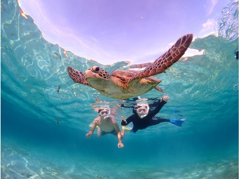 Miyakojima/Fully private, no life jacket required! 《100% encounter rate continues!》 Even closer [Sea turtle snorkeling] ★ Same-day reservations accepted!の紹介画像