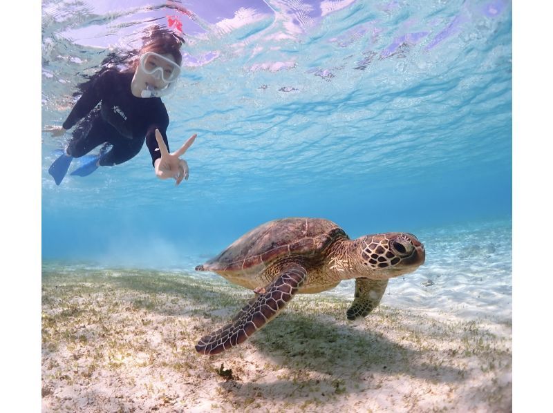 Miyakojima/Fully private, no life jacket required! 《100% encounter rate continues!》 Even closer [Sea turtle snorkeling] ★ Same-day reservations accepted!の紹介画像