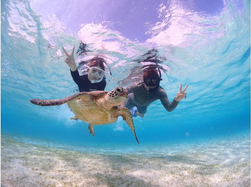 Miyakojima/Fully private, no life jacket required! 《100% encounter rate continues!》 Even closer [Sea turtle snorkeling] ★ Same-day reservations accepted!の紹介画像