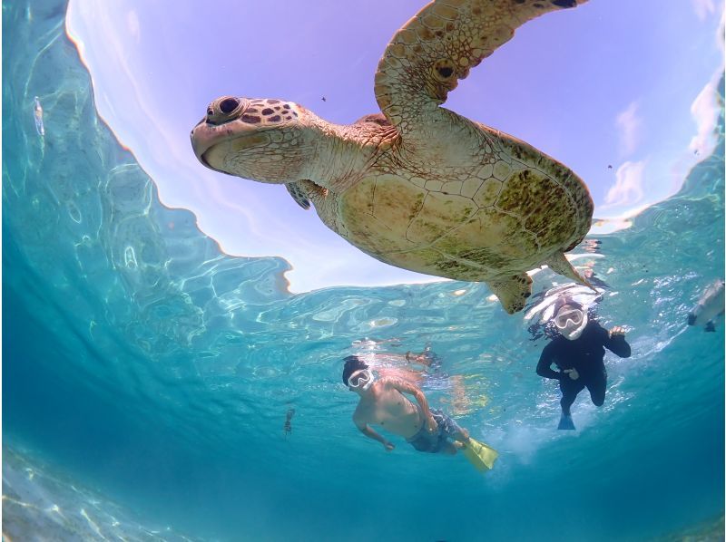 Miyakojima/Fully private, no life jacket required! 《100% encounter rate continues!》 Even closer [Sea turtle snorkeling] ★ Same-day reservations accepted!の紹介画像